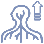 Improves lymphatic drainage and removes toxins