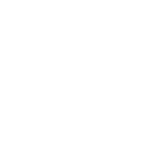 Multi-port 